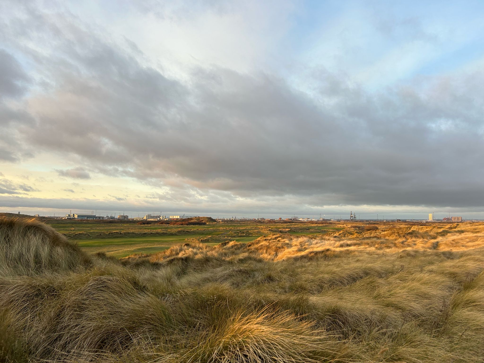 Duneland at Cleveland Golf Club with the industrial skyline of Teesside beyond